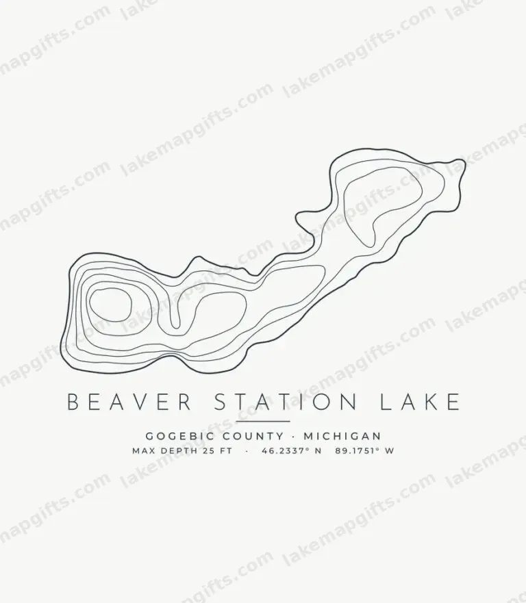 Beaver Station Lake contour map design