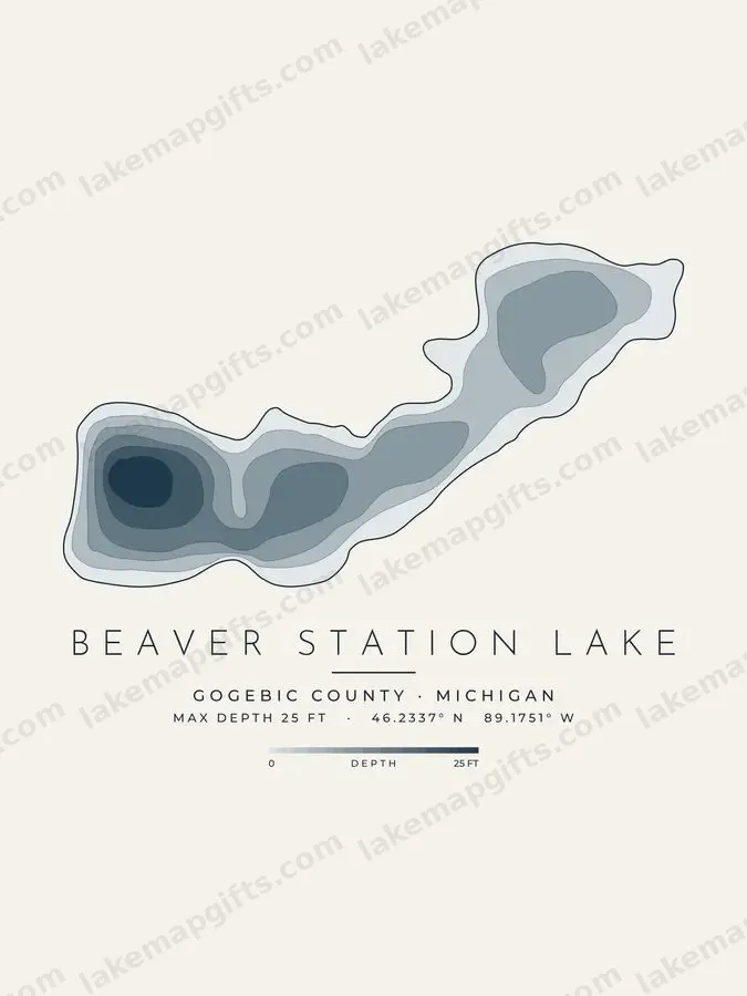 Beaver Station Lake depth map print design