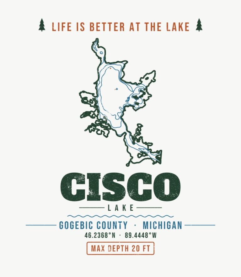 Cisco Lake life is better design