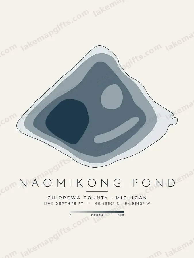 Naomikong Pond depth map print design