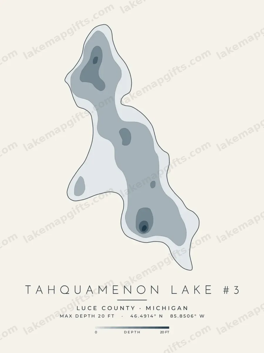 Tahquamenon Lake #3
